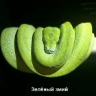 Прикрепленное изображение: 1633798528.jpg