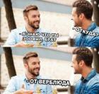 Прикрепленное изображение: От верблюда.jpg