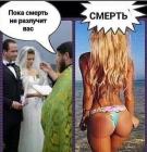 Прикрепленное изображение: IMG_20211013_085554_022.jpg