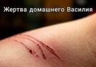 Прикрепленное изображение: Жертва домашнего Василия.jpg