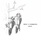 Прикрепленное изображение: Дятел и руководитель дятла.jpg