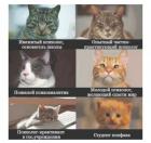 Прикрепленное изображение: Котики-психологи.jpg
