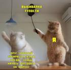 Прикрепленное изображение: Выбивалка тупости.jpg