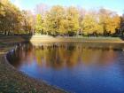 Прикрепленное изображение: IMG_20221009_120414.jpg