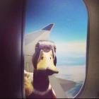 Прикрепленное изображение: 387864959_331532686073253_2175894248829208186_n.jpg