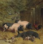 Прикрепленное изображение: 2012_NYR_02592_0079_000(john_frederick_herring_sen_berkshire_saddlebacks_and_chickens_in_a_str102003).jpg