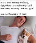 Прикрепленное изображение: Заведу собаку.jpg