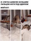 Прикрепленное изображение: Большой палец ноги.jpg