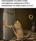 Прикрепленное изображение: 462712966_8108794090528695_8297846783546093626_n.jpg