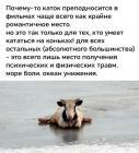 Прикрепленное изображение: Каток.jpg