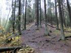 Прикрепленное изображение: DSCF8094.jpg