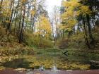 Прикрепленное изображение: DSCF8078.jpg