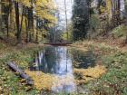 Прикрепленное изображение: DSCF8083.jpg