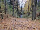 Прикрепленное изображение: DSCF8081.jpg