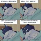 Прикрепленное изображение: Проснулся.jpg