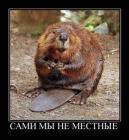 Прикрепленное изображение: _____.jpg