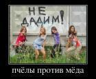 Прикрепленное изображение: 327202_pchyolyi_protiv_myoda.jpg
