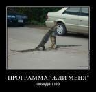 Прикрепленное изображение: 2y8esf5di7z2.jpg