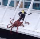 Прикрепленное изображение: 81474190_a-potselovat.jpg