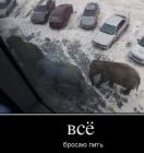 Прикрепленное изображение: 93730Da7 (1).jpg