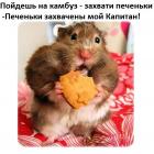 Прикрепленное изображение: 95a60c69fdb7eff23c79b641d670615a.jpg