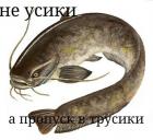 Прикрепленное изображение: 309686_892301.jpg