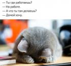 Прикрепленное изображение: IMG-20171110-WA0004.jpg