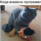 Прикрепленное изображение: Внезапно протрезвел.jpg