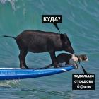 Прикрепленное изображение: 3FTgmgQ7Nr0.jpg