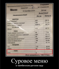 Прикрепленное изображение: Суровое меню в челябинском детском саду.png