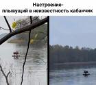 Прикрепленное изображение: s-nastupayushhim_51082.jpg