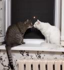 Прикрепленное изображение: eVdo_6b61Rc.jpg