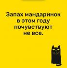 Прикрепленное изображение: Screenshot_20201104-130709_Yandex.jpg