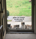 Прикрепленное изображение: Привет! Мы слышали, что тебе 40 и тебе одиноко.png