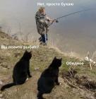 Прикрепленное изображение: Рыбак и коты.jpg