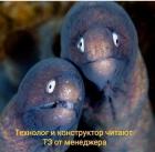 Прикрепленное изображение: Технолог и конструктор.jpg