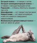 Прикрепленное изображение: Котик и психоз.jpg