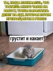 Прикрепленное изображение: Котик грустит и какает.jpg