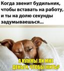 Прикрепленное изображение: Когда звенит будильник.jpg