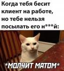Прикрепленное изображение: Котик молчит матом.jpg
