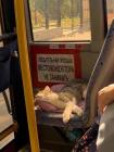 Прикрепленное изображение: Котик кондуктор.jpg