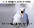 Прикрепленное изображение: IMG_20231123_202320_299.jpg