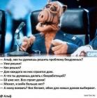 Прикрепленное изображение: 1698744099.jpg