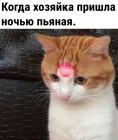 Прикрепленное изображение: Хозяйка пришла ночью.jpg