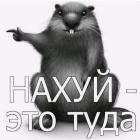 Прикрепленное изображение: 465982512_4029131344039747_7150968442656181722_n.jpg