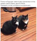 Прикрепленное изображение: 1732039694.jpg