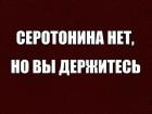 Прикрепленное изображение: 464698219_3421732901468608_8117209044127394390_n.jpg
