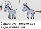 Прикрепленное изображение: 463092728_3907683196167147_5881935014751551112_n.jpg