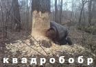 Прикрепленное изображение: 4-KRMYOQ1wg.jpg
