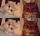 Прикрепленное изображение: IMG_1630.jpeg